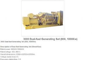 3000 dual-fuel generating sets 800，1000kw